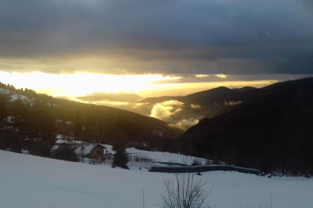 Appartement Un Coin De Montagne à Linthal Extérieur photo