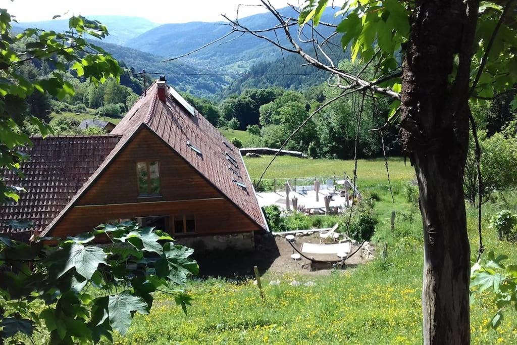 Appartement Un Coin De Montagne à Linthal Extérieur photo