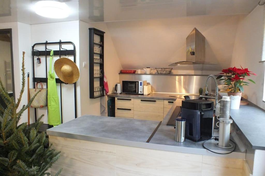 Appartement Un Coin De Montagne à Linthal Extérieur photo
