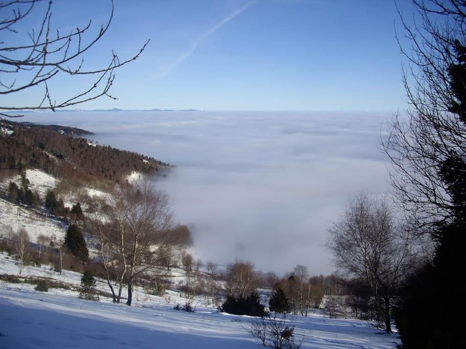 Appartement Un Coin De Montagne à Linthal Extérieur photo